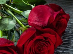 Treat your loved one to a relaxing break in the Walled City 